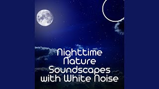 [White Noise] Midnight Brook - Loopable