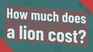 How much does a lion cost?