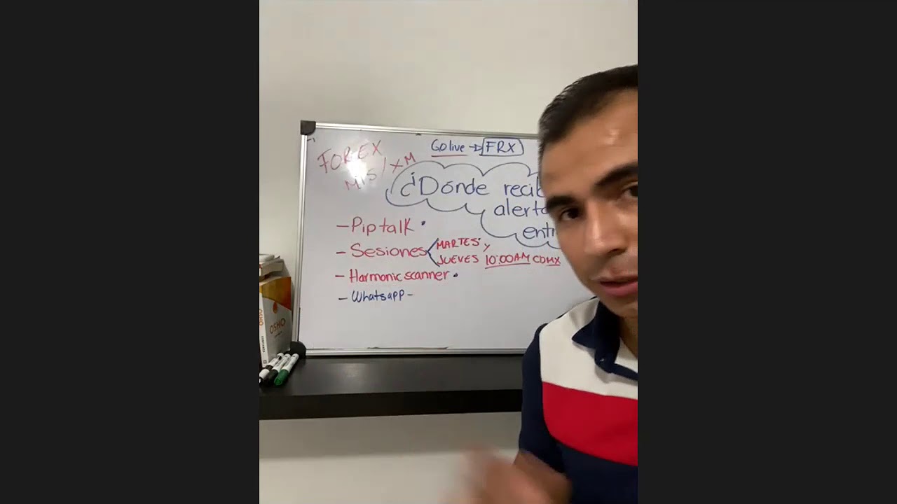 Alertas forex