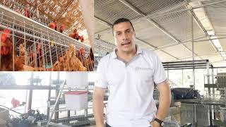 CAGE INSTALLATION | LAYING HENS - Self-Sustaining Farms