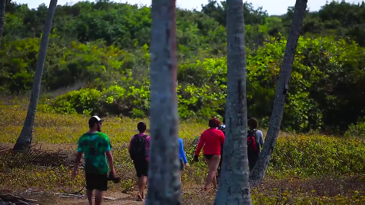 Trilha do Oiteiro, na Praia de Campina 