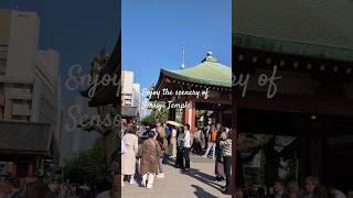 Philosophical walk at Asakusa Sensoji Temple, Tokyo