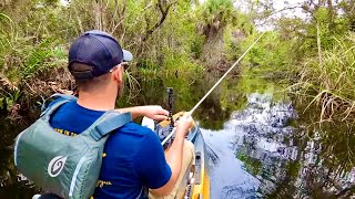 Everglades River JUNGLE CRUISE Fishing