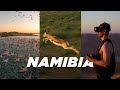 Africa  wildlife  cinematic fpv
