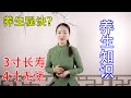 3寸長壽 4寸無憂 是指什麼東西 古人的養生智慧 讓人佩服 健康管理師李曉 3寸長壽 4寸無憂 是指什麼東西 古人的養生智慧 讓人佩服 健康管理師李曉