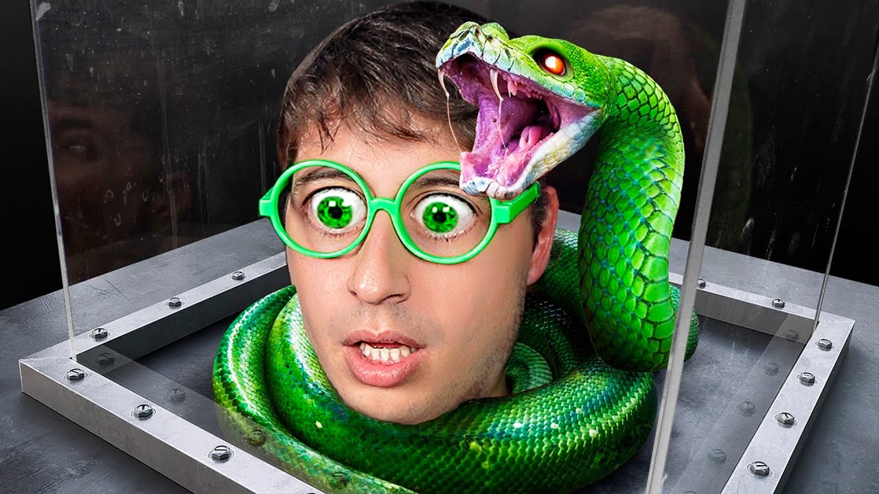 Enfrenta Tus Mayores Miedos Y Gana $800,000 😱🔥🐍 (Reacción a MrBeast)