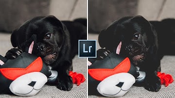 HOW TO CREATE A MATTE EFFECT IN LIGHTROOM | LIGHTROOM TUTORIAL BY SAYAN GHOSH