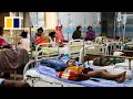 Dengue outbreak kills over 1,000 in Bangladesh