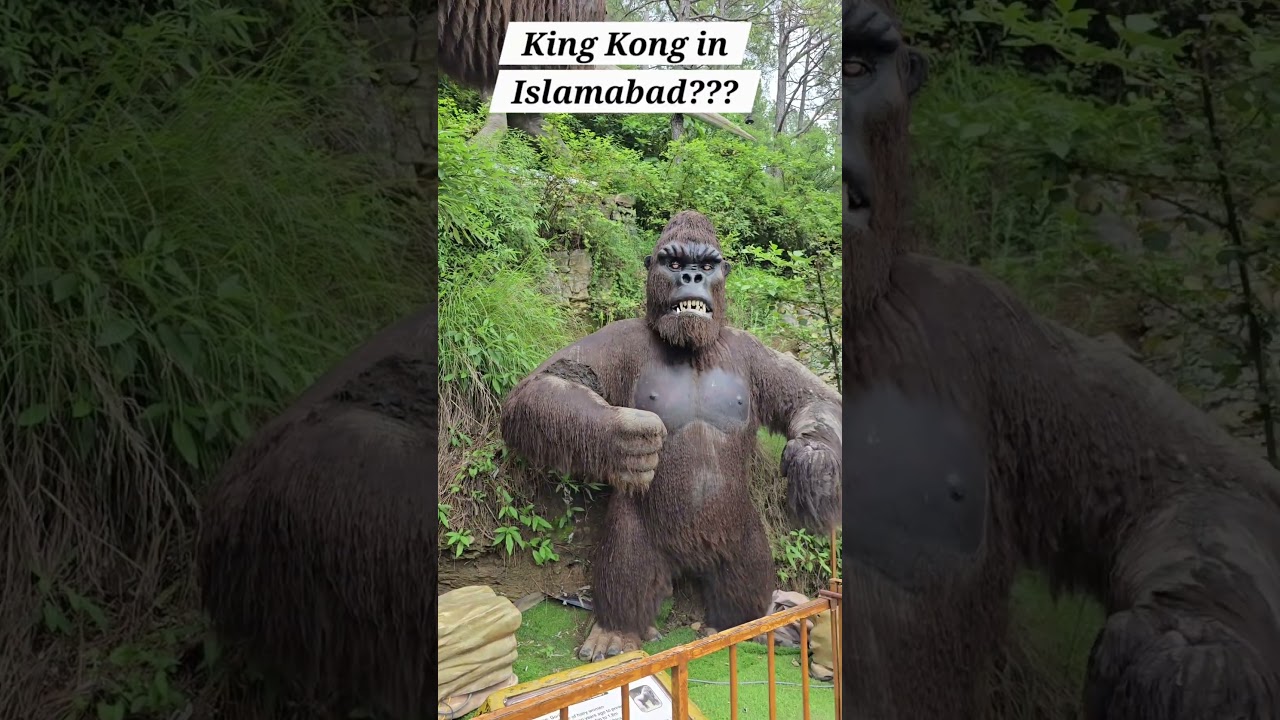 King Kong in Islamabad? Fun at Dino Valley!