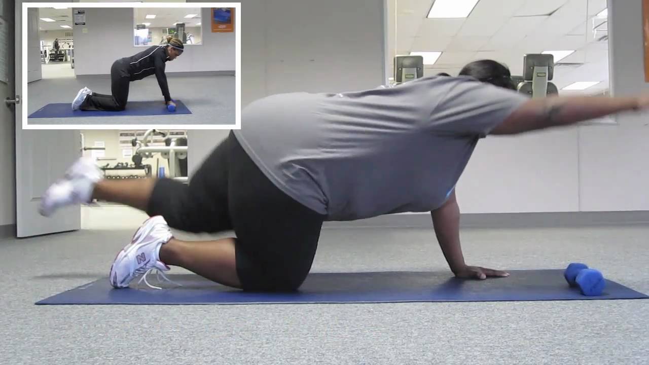 Healthiest Loser Exercise Video #1