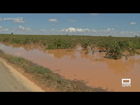 Las lluvias convierten
