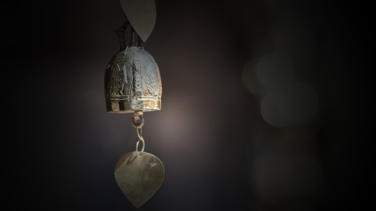 WELCOME TO MYNOISE • YouTube Channel Trailer