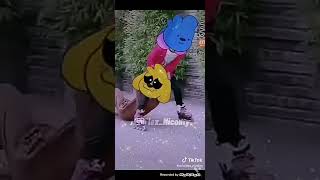 Mikecrack Y Flexvega