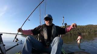 Bass Fishing Techniques that ALWAYS Work in Lake Guntersville - Early April SECRETS REVEALED!