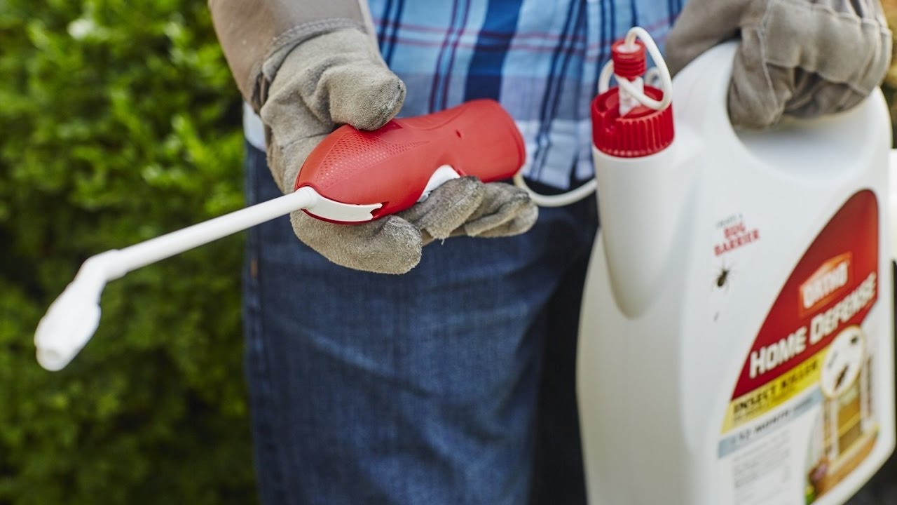 Ortho Home Defense MAX Insect Killer Granules, 2.5Pound (Ant, Spider