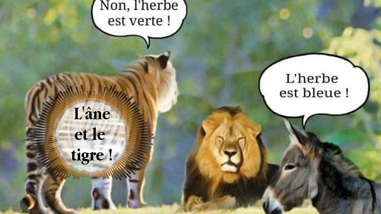 L'âne et le tigre - YouTube