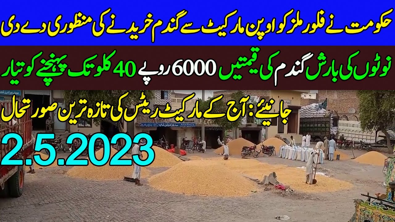 Wheat price in Pakistan 2023|Gundam ka rate today Punjab Pakistan - YouTube