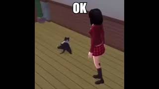 cat dance ok @LainIwakura