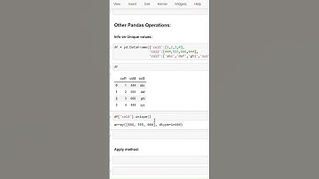 How to find Unique Values in a Python Dataframe Column | Jan 2025