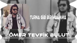 Ömer Tevfik Bulut - Turna Gibi Bir Muamma (Solo Bağlama) Ürkü