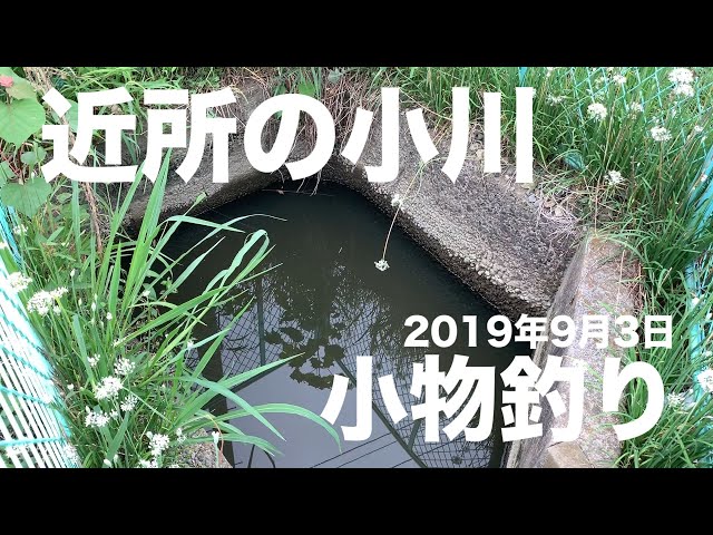用水路の魚釣り 短い竿で小鮒を釣るぞ Crucian Carp Fishing Litetube 用水路の魚釣り 短い竿で小鮒を釣るぞ Crucian Carp Fishing Litetube