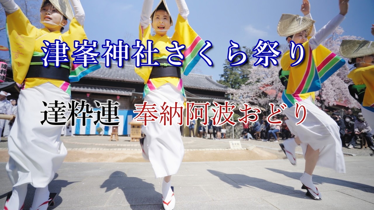 Awa Odori 2026] Tsumine Shrine Cherry Blossom Festival Awa Odori
