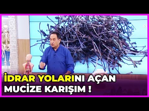 Video: Yonca doğal bir idrar söktürücü mü?