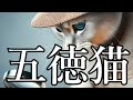 五徳猫 薔薇十字探偵の然疑