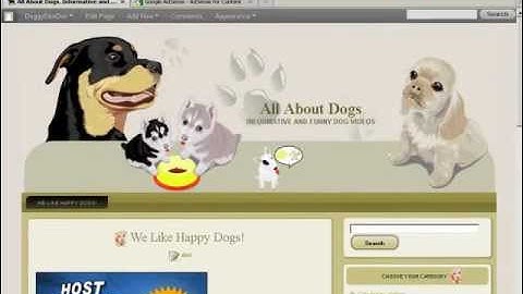 Bargain Hunter Warehouse FREE video podcast. Create your own Video Sharing Website Part 14