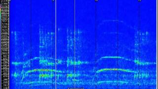 The Ohio Howl - Recorded By Matt Moneymaker In 1994 - Ohiohowl.mpeg