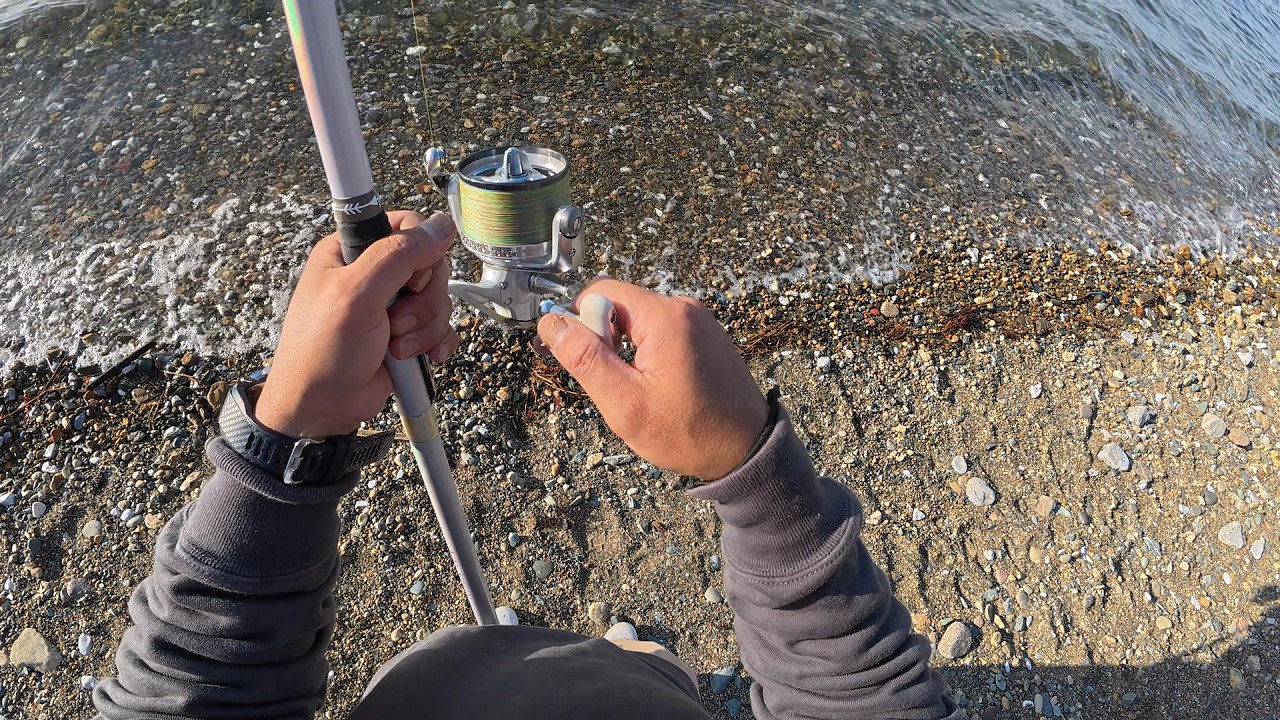 キスの投げ釣りを貸し切りポイントで自由に楽しむ♪