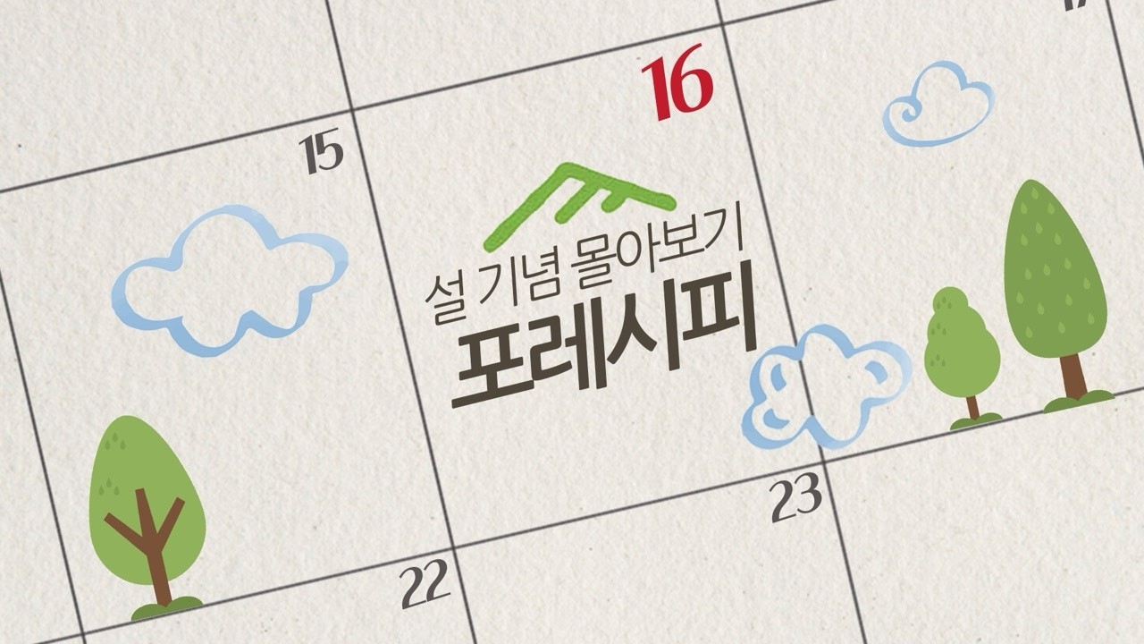 설 기념 포레시피 몰아보기🌲 | 포레스텔라와 함께하는 설날