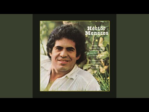 Hector Meneses — No Quiero Olvidar