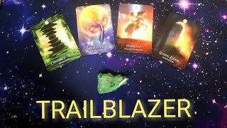 This is your only road sign - Forging your own path. TRAILBLAZER