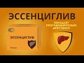 Эссенциглив – гепатопротектор, поддержка печени