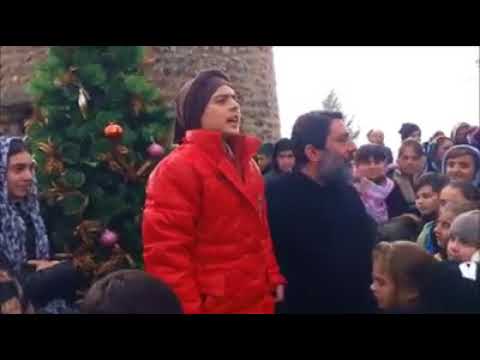 ქართველებს