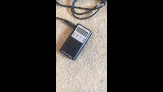 Terence McKenna Celebrity Ghost Box Interview Evp