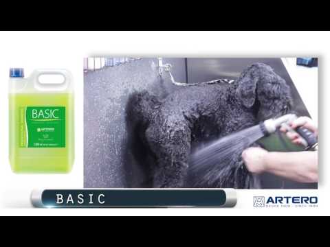 BASIC SHAMPOO for Dog Grooming