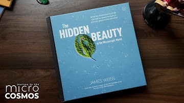 BONUS VIDEO: Hold The Microcosmos In Your Hands!