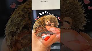 Man Brought Finger Monkey Home
