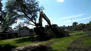 Clearing a tree with a Cat 336