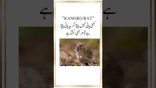 viral facts about animal #support #information