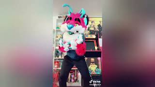 Furry Tik Tok #76