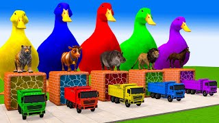 5 Giant Duck, Monkey, Piglet, chicken, dog, cat, lion, cow, Sheep, Transfiguration funny animal 2024