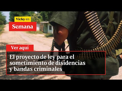 El proyecto de ley para el sometimiento de disidencias y bandas criminales | Vicky en Semana