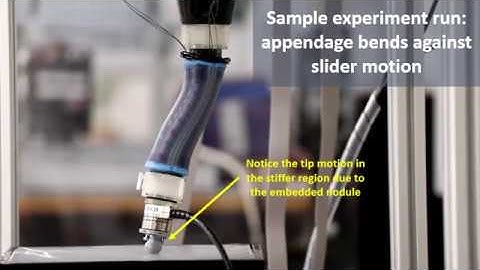 Stiffness Imaging with a Continuum Appendage