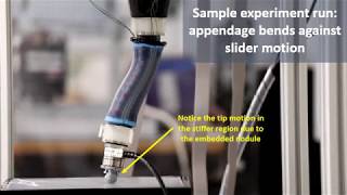 Stiffness Imaging with a Continuum Appendage