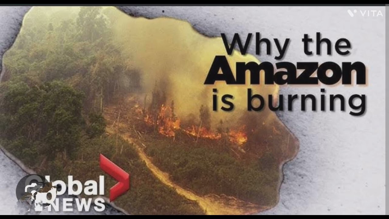 Amazon forest fire