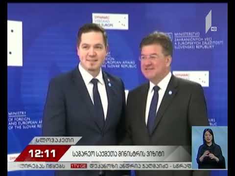 საგარეო საქმეთა მინისტრის ვიზიტი