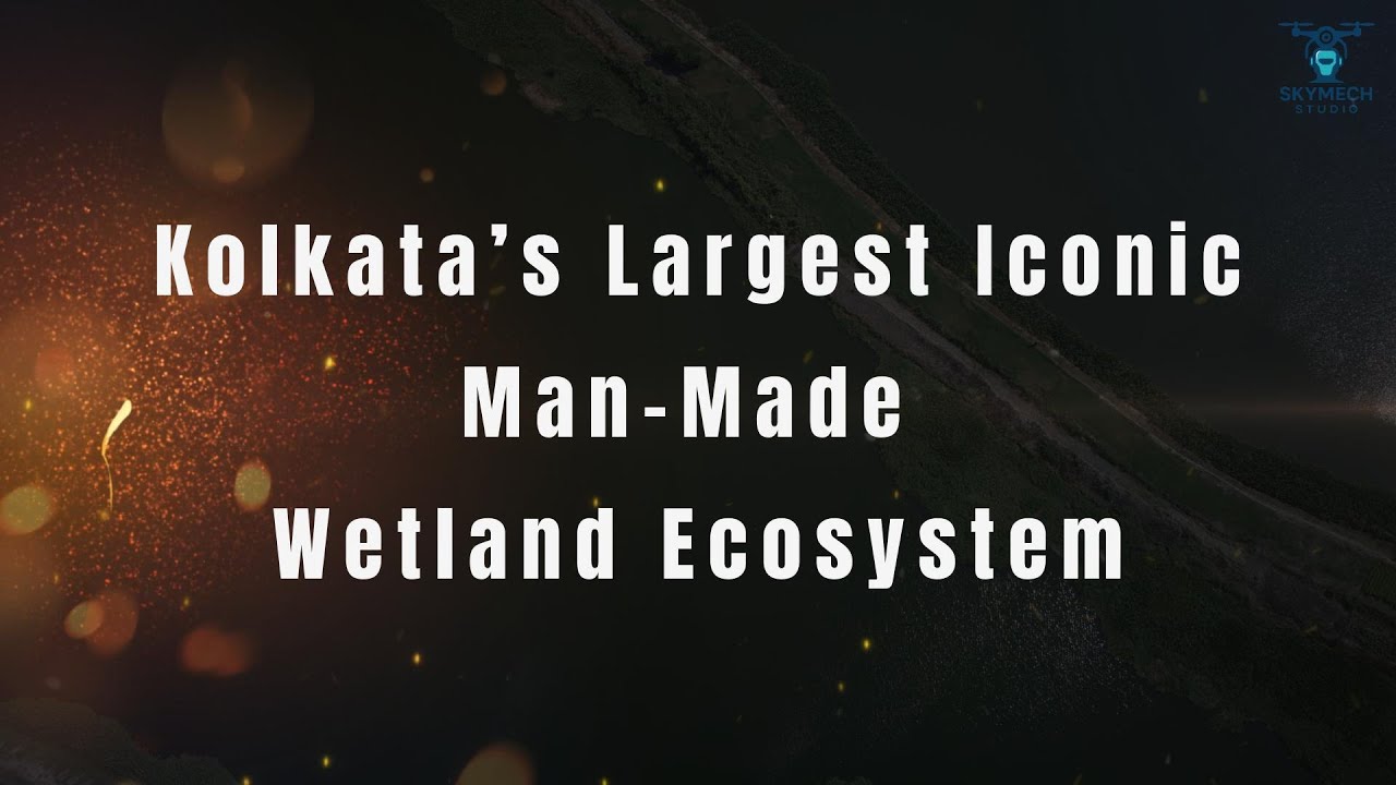 Kolkata’s Man-Made Eco Miracle | The Incredible East Kolkata Wetland Ecosystem